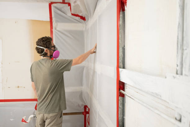 Mold Remediation for Vacation Homes in Hillsboro, ND