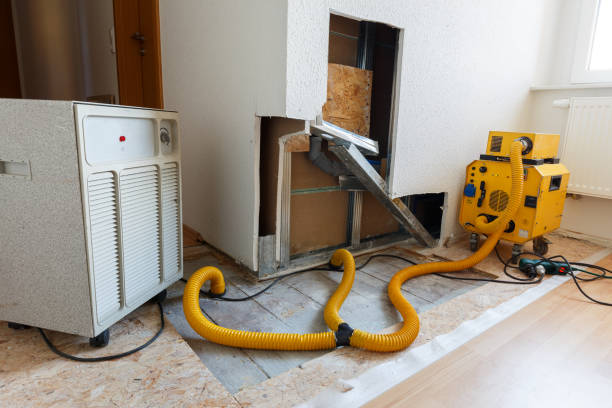 Mold Remediation for Rental Properties in Hillsboro, ND