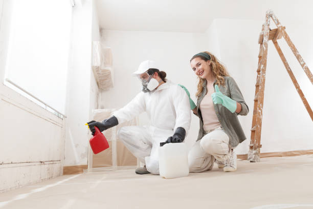 Reliable Hillsboro, ND Mold Inspection, Removal & Remediation Solutions